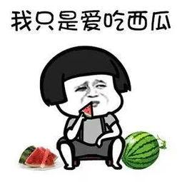 娱乐吃瓜苦